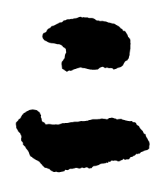 启功二书法图片