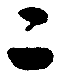 启功二书法图片