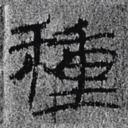 居延汉简种书法图片