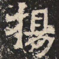 杨书法图片