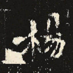 杨书法图片