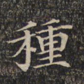 种书法图片