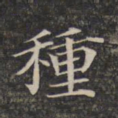 种书法图片
