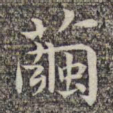 沈颢茧书法图片