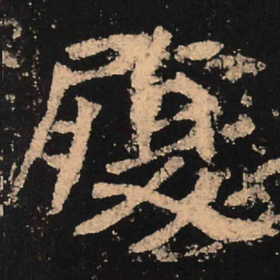 魏碑履书法图片