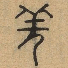 羌书法图片