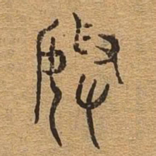 美书法图片