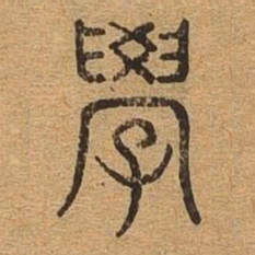 学书法图片