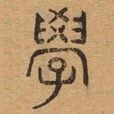 学书法图片