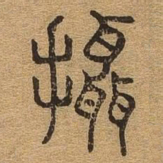摄书法图片