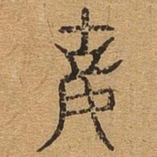 姑书法图片