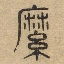 縻书法图片