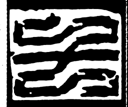 鸟虫篆十书法图片