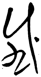 毛泽东感书法图片