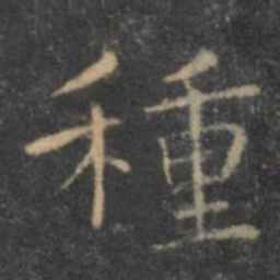 虞世南种书法图片