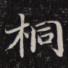 谢希逸桐书法图片