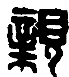 篆刻亲书法图片