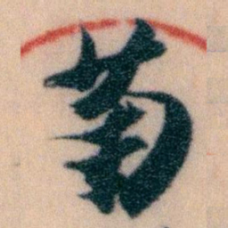 王蘧常菊书法图片