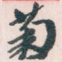 王蘧常菊书法图片