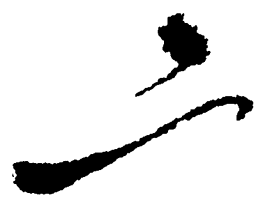 毛泽东二书法图片