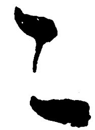 毛泽东二书法图片