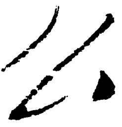 毛泽东么书法图片