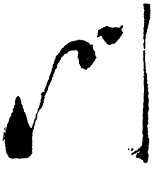 毛泽东门书法图片