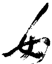 毛泽东女书法图片