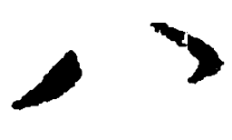 毛泽东八书法图片