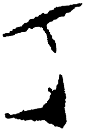 毛泽东丁书法图片