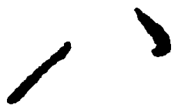 毛泽东八书法图片