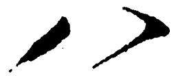 毛泽东八书法图片
