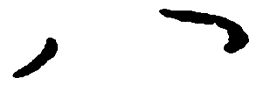 毛泽东八书法图片