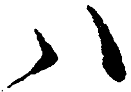 毛泽东八书法图片
