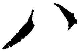 毛泽东八书法图片