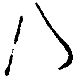 毛泽东八书法图片