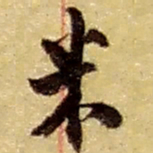 赵之谦米书法图片