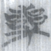 安大简喪书法图片