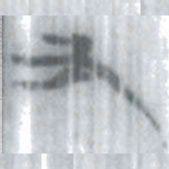 安大简又书法图片