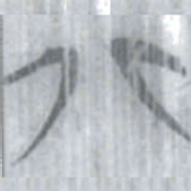 安大简北书法图片