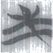 安大简求书法图片