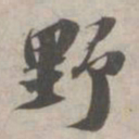 苏轼野书法图片