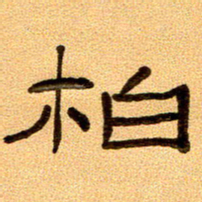 任行付柏书法图片