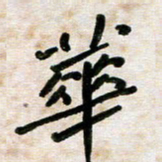 张丽娜华书法图片