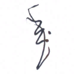 宋维武年书法图片
