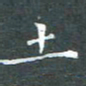 苏湘发土书法图片