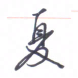 张毅君夏书法图片