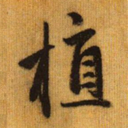 赵孟頫植书法图片