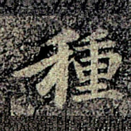 智果种书法图片