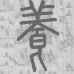 说文解字养书法图片